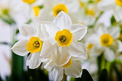 《羊蹄山之魂》实现百万级资产加载 构建高清北海道