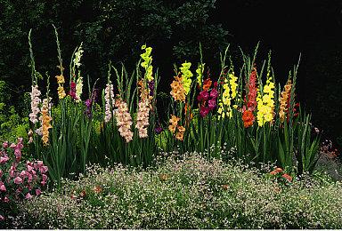 麦当劳打造复古游戏 《Grimace’s Birthday》完成度相当高